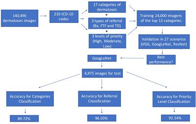 Accuracy of Deep Neural Network in Triaging Common Skin Diseases of Primary Care Attention